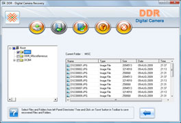 Digital Camera Pictures Recovery
