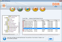 Windows FAT Data Recovery Software Screenshot
