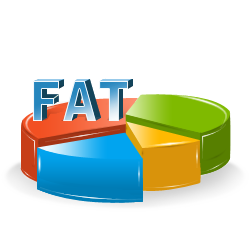 Windows FAT Data Recovery